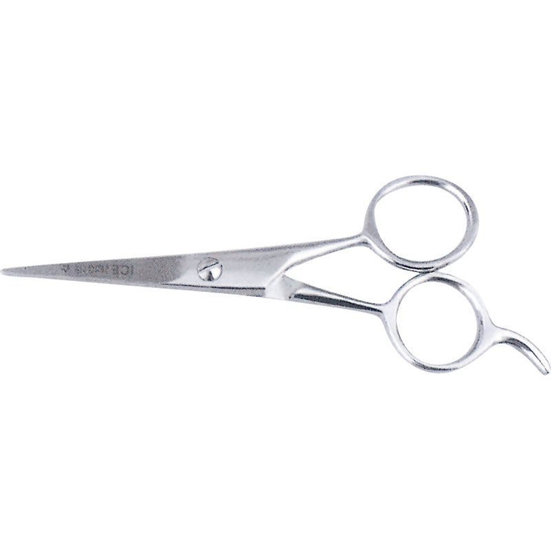 Hair Dressing Scissors