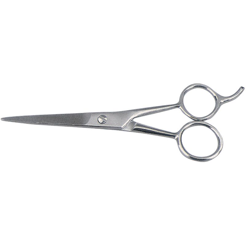 Hair Dressing Scissors
