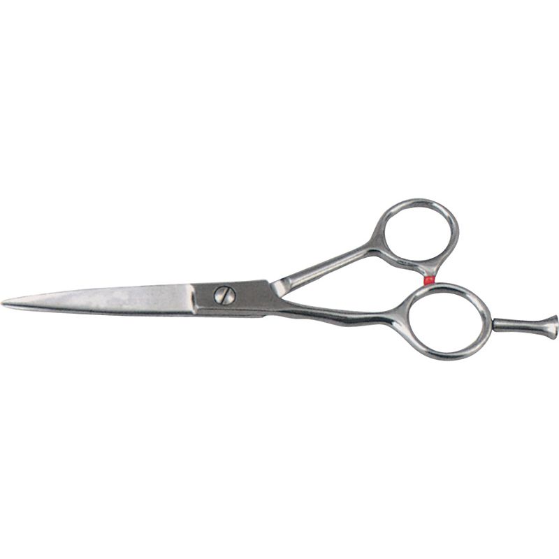 Hair Dressing Shears