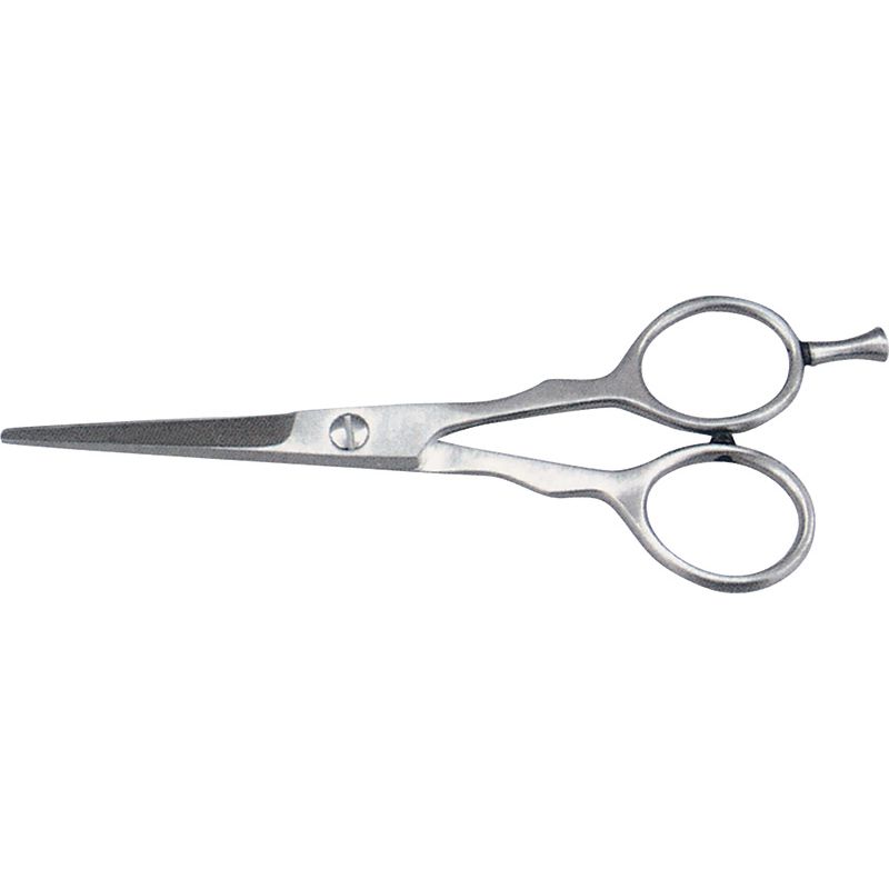 Hair Dressing Shears