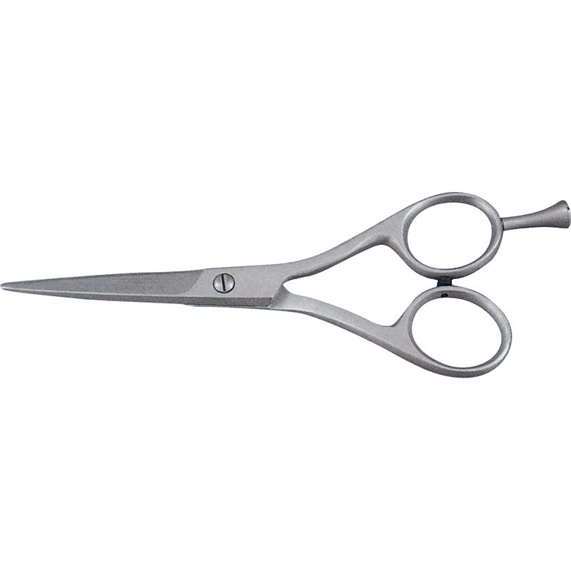 Hair Dressing Shears