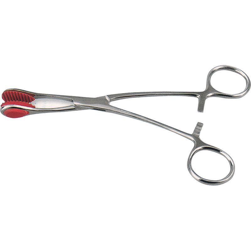 Young Tongue Forceps